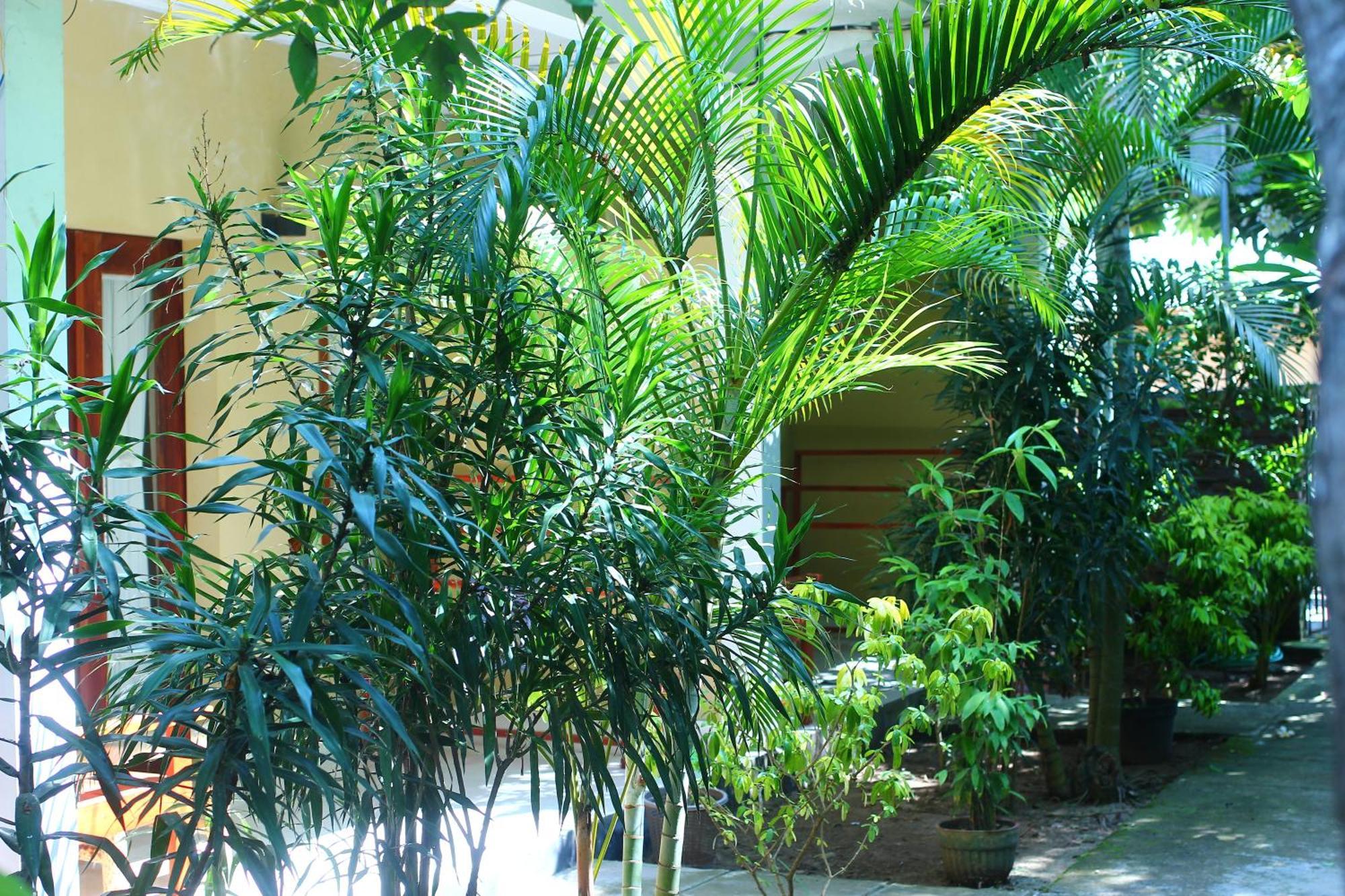 Three V Homestay Kuta  Exteriör bild