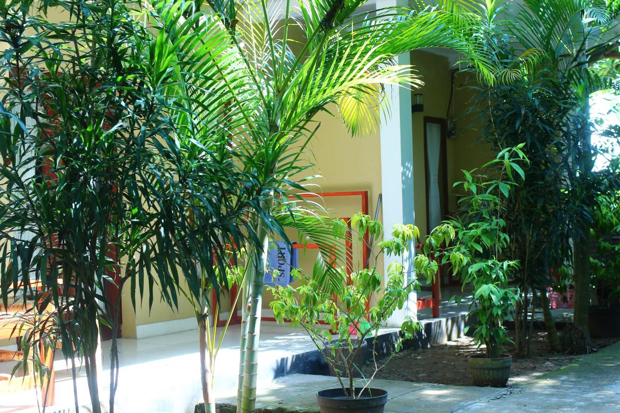 Three V Homestay Kuta  Exteriör bild