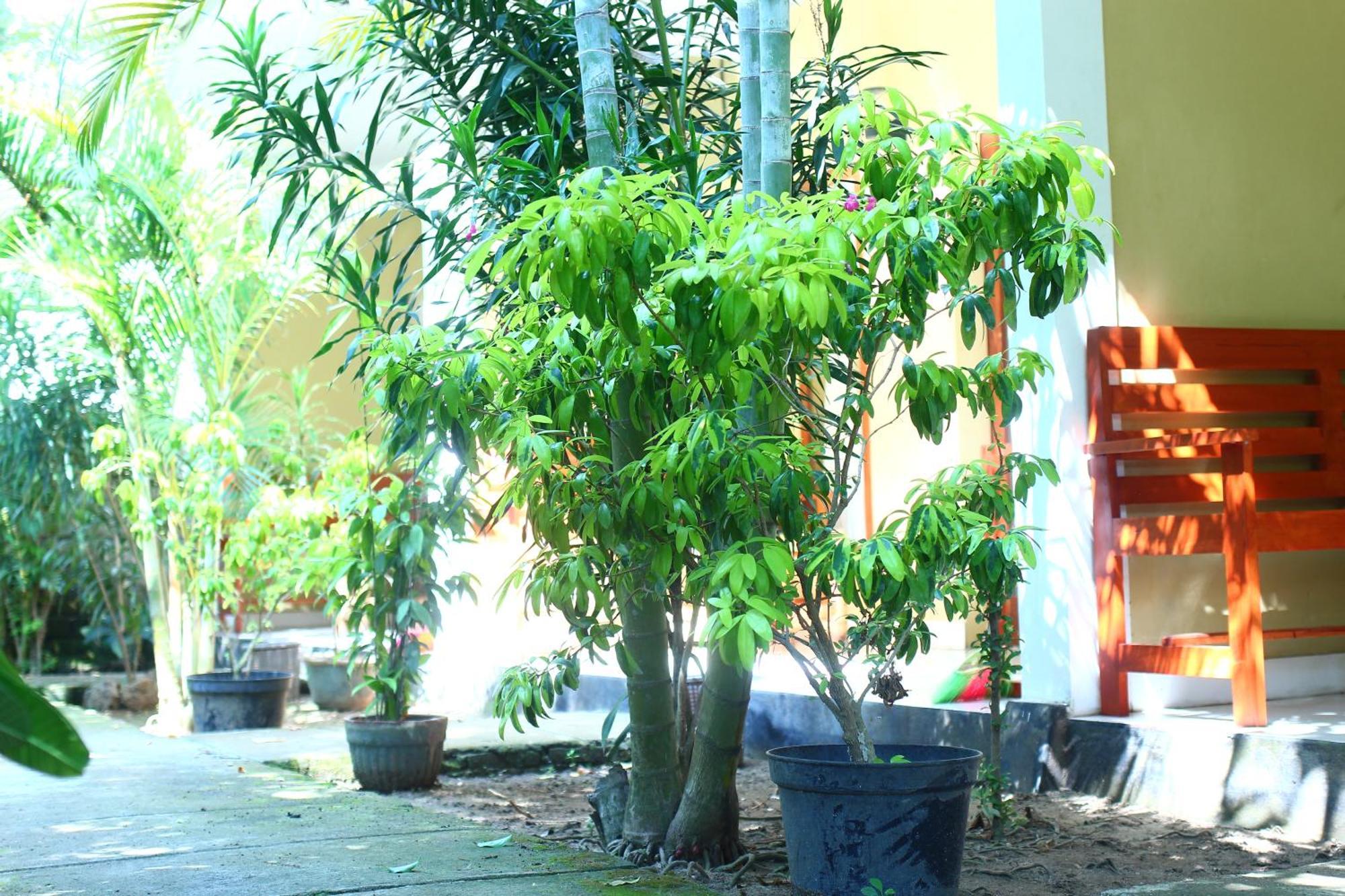 Three V Homestay Kuta  Exteriör bild
