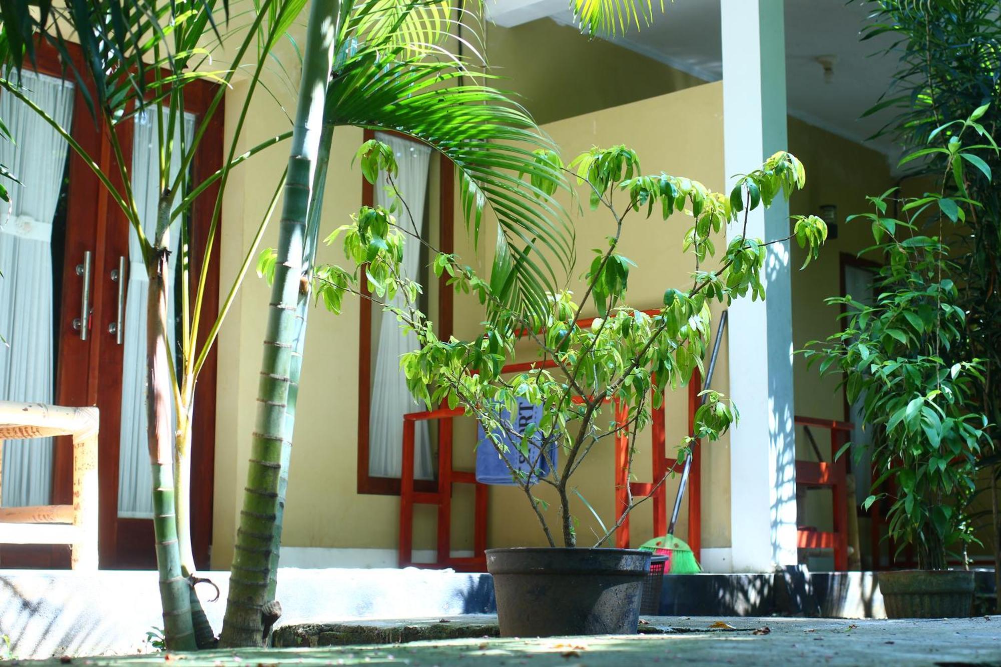 Three V Homestay Kuta  Exteriör bild