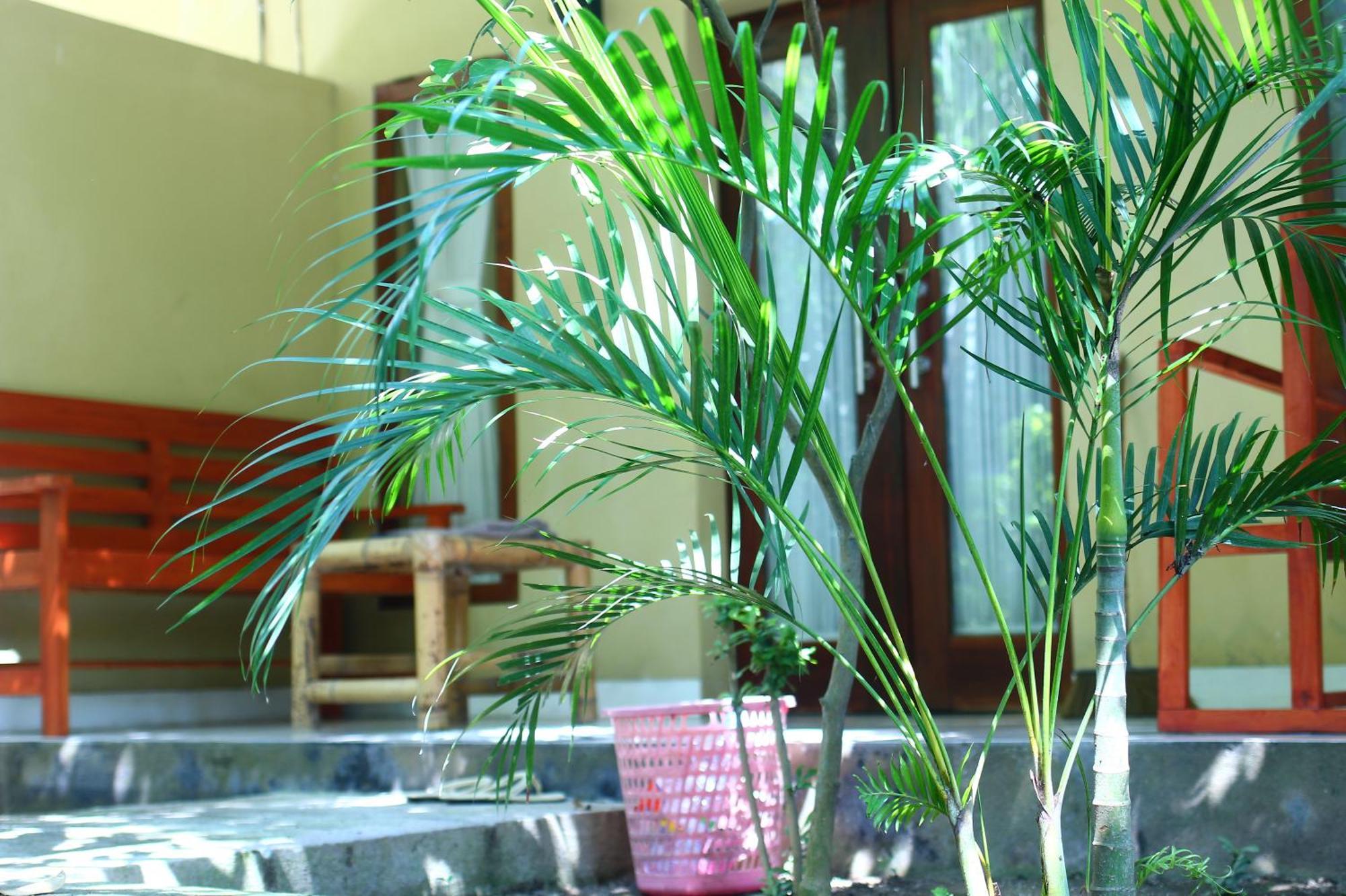 Three V Homestay Kuta  Exteriör bild